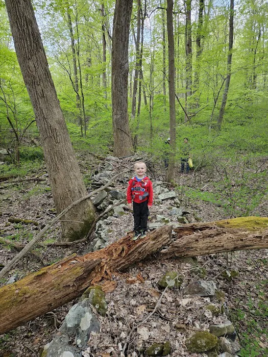Poplar Grove Youth Group Tent Campground 4