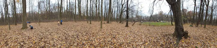 Poplar Grove Youth Group Tent Campground 1