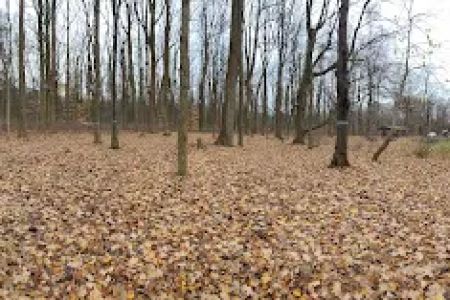 Poplar Grove Youth Group Tent Campground