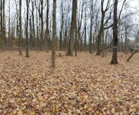 Poplar Grove Youth Group Tent Campground