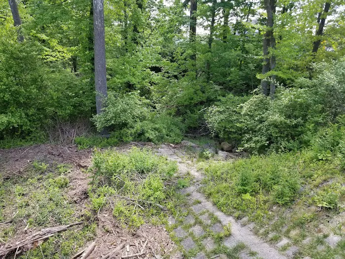Crow's Nest Family Campground 9