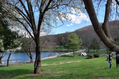 Summit Lake Camp
