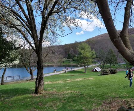 Summit Lake Camp