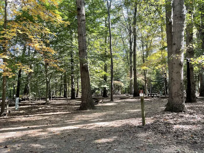 Killens Pond State Park Campground 2