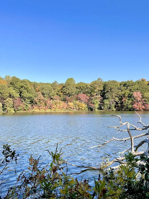 Killens Pond State Park Campground 8