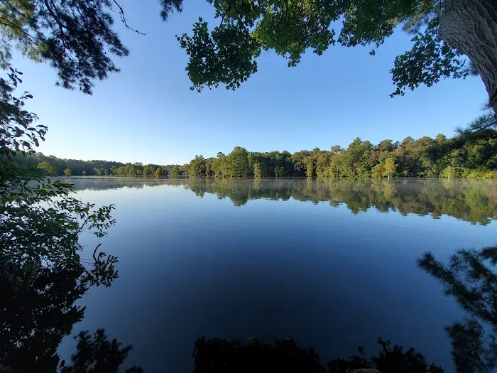 Trap Pond 3