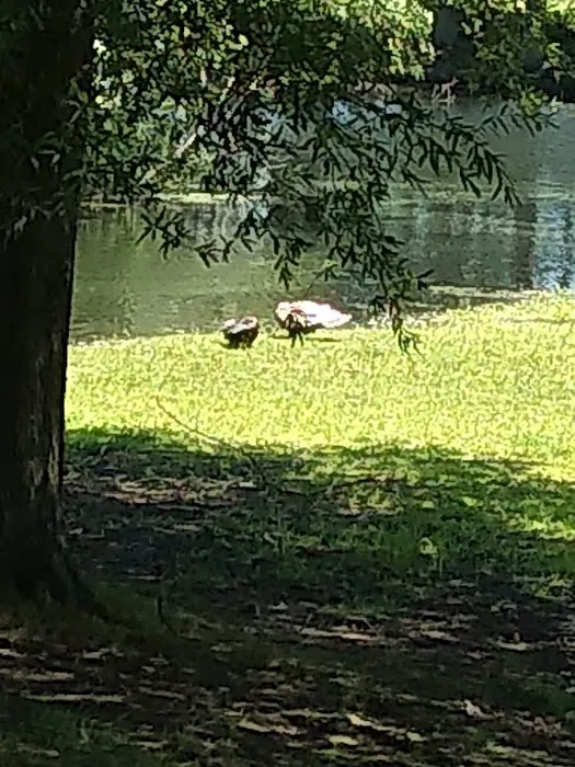 Pine Springs Mobile Home Park 8