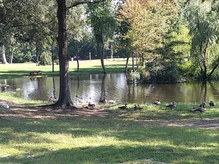 Pine Springs Mobile Home Park 3