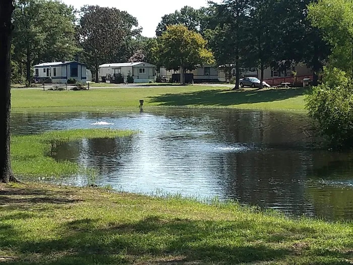 Pine Springs Mobile Home Park 7