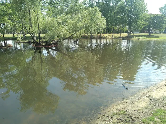 Pine Springs Mobile Home Park 9