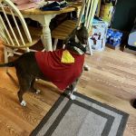 Forest Grove Mobile Home Park