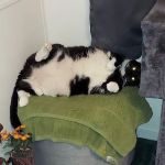 Briarwood Mobile Home Estates