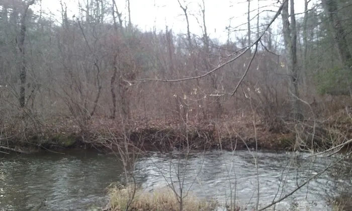Brush Creek Campground 1