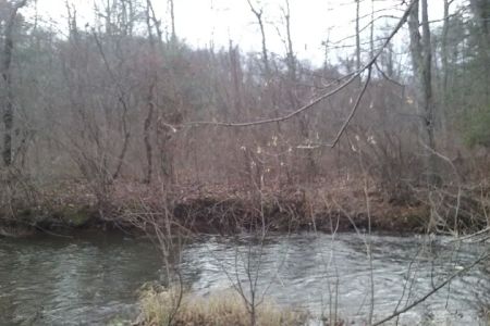 Brush Creek Campground