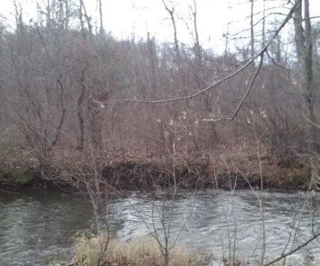 Brush Creek Campground