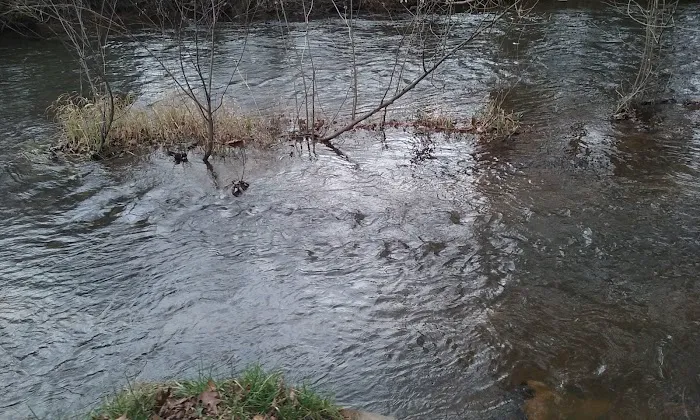 Brush Creek Campground 5