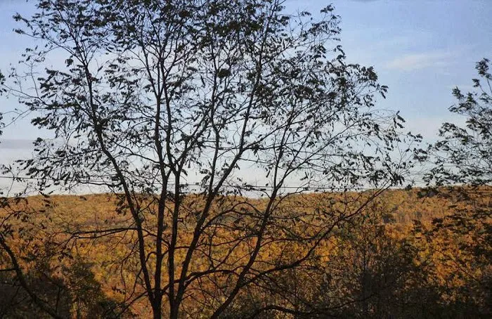 Buck's Campground 3