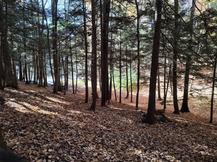 Crooked Run Campground 5