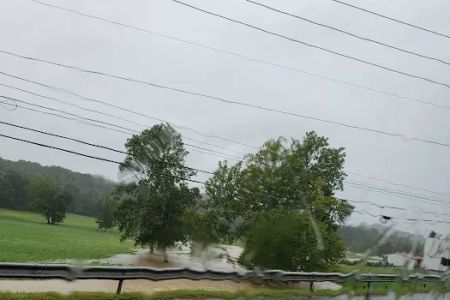 Pine Tree Mobile Home Park