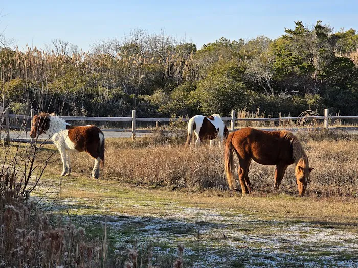 Horse Campground Reservation 1