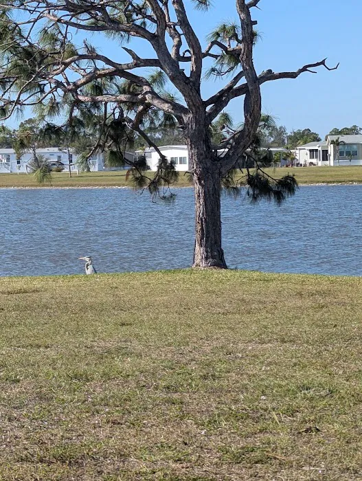 Village of Holiday Lake 1