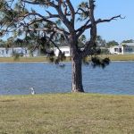 Village of Holiday Lake