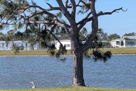 Village of Holiday Lake
