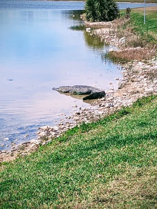 Village of Holiday Lake 9