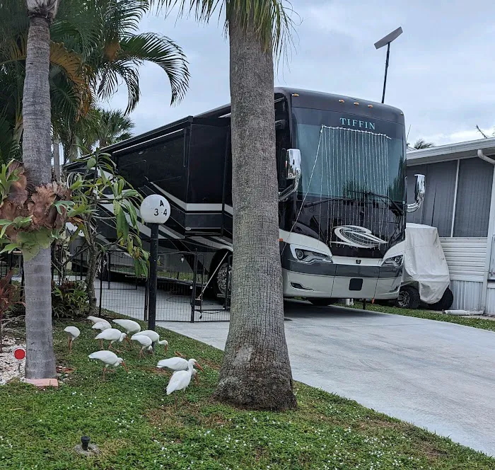 Juno Ocean Walk RV Resort 10