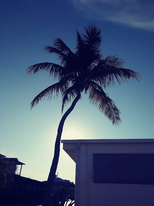Floridian Ocean Park 4