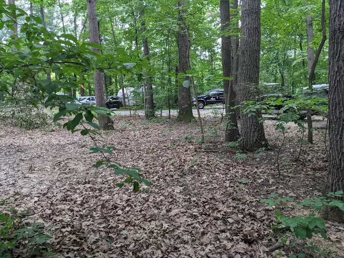 Codorus State Park Campground 1