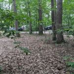 Codorus State Park Campground