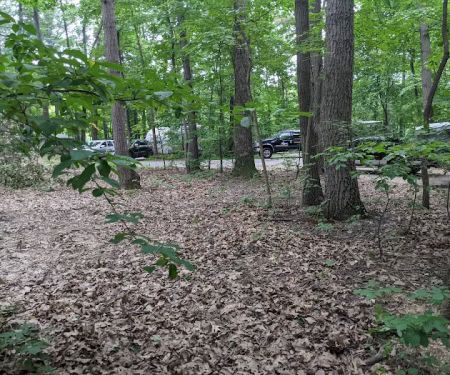 Codorus State Park Campground