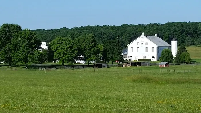 McMillan Woods Youth Campground 1