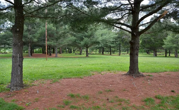 McMillan Woods Youth Campground 8