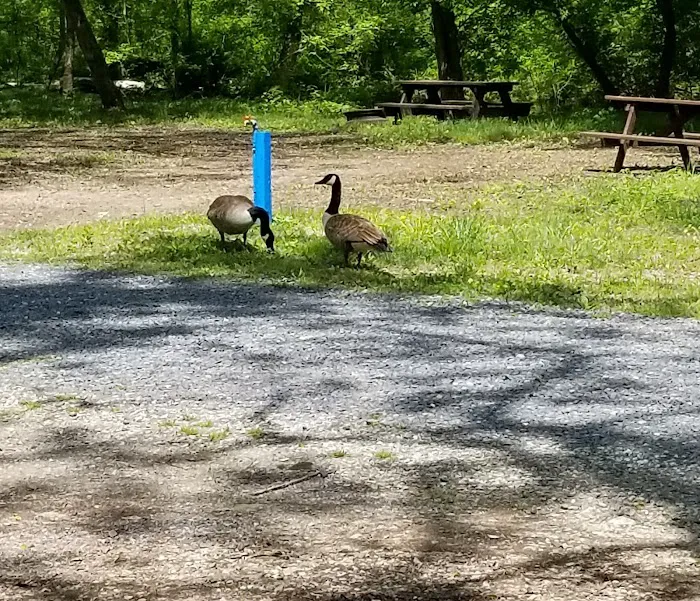 Gettysburg Campground 6