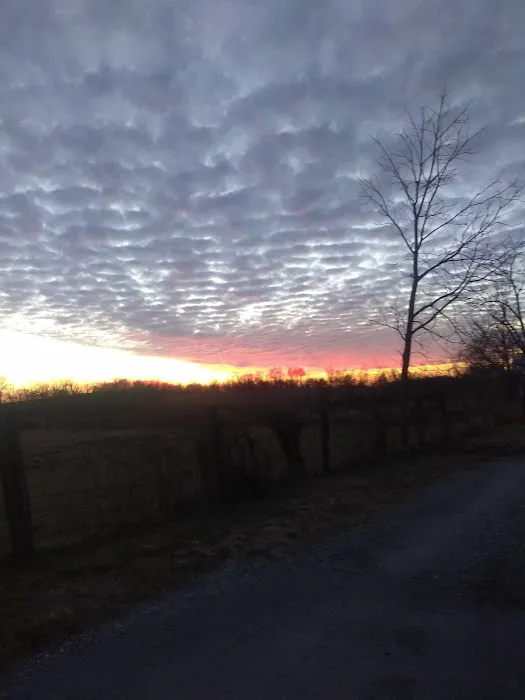 Sunshine Mobile Home Park 1