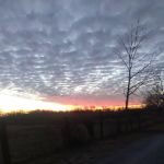 Sunshine Mobile Home Park