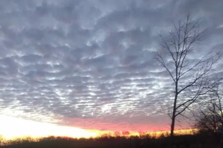 Sunshine Mobile Home Park