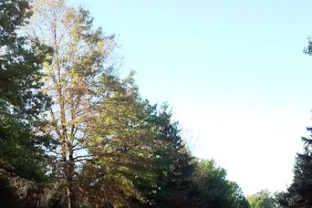 Woodburne Estates