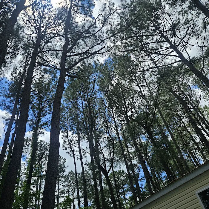 Tall Pines Campground Resort 10