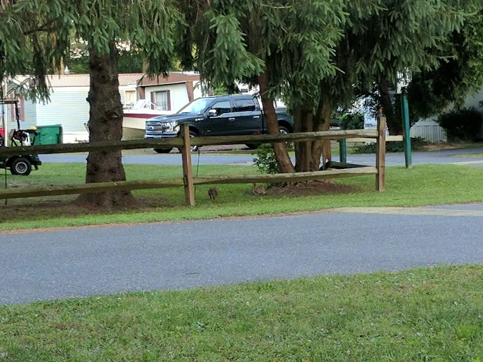 Tall Pines Campground Resort 9