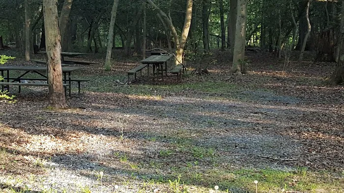 Skipper's Point Campground 4