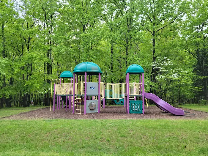 Elk Neck State Park Campground 3