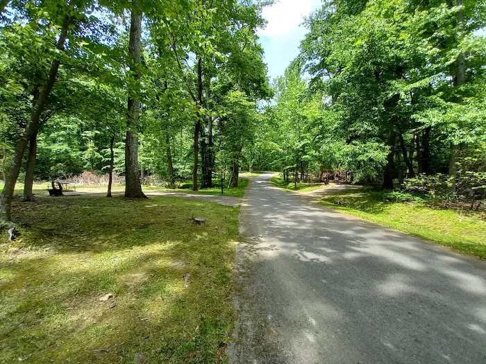 Elk Neck State Park Campground 6