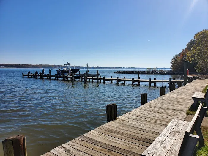 Elk Neck State Park Campground 4