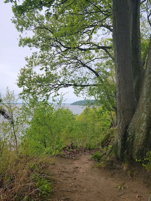 Elk Neck State Park Campground 8