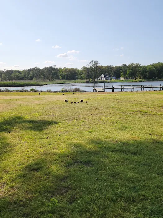 Gulls Way Campground 1