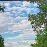 Newburg Campground