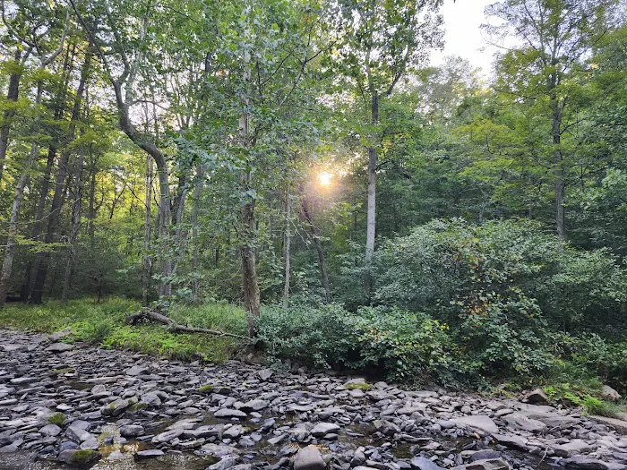 Trough Creek State Park Campground 5